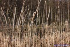 Ja und hier wohnt der Klaus. 