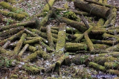 Der Spielplatz von Pauls kleinen Freunden. Irgendwie will da wieder keiner aufräumen. 