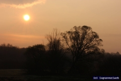 In der Schifflache zwischen Großauheim und Großkrotzenburg geht so langsam die Sonne auf. 