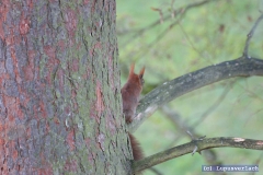 Mh, glaube Heike ist beleidigt? 