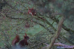 Na sie reden scheinbar wieder miteinander. 