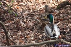 Petra und Herbert auf dem Weg zu Klaus. 