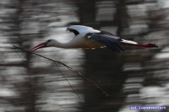 Aber Udo will hier bleiben. Er baut kräftig an seinem neuen Zuhause. 