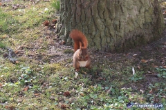 ... nervös isser. Mh, ob er ein Date hat? 