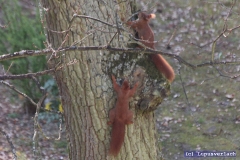 Jo das sind nun Paul und Heike. .... Ei das freut mich. 