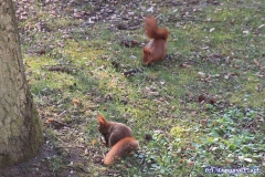 Ist das nicht die Heike? 