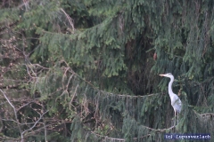 Die Ingrid hält mal wieder Ausschau nach lecker Essen. 