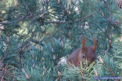 Heike kümmert sich gerade um das Frühstück .. 