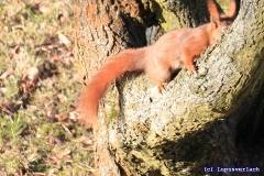 ... und Paul hängt wieder nur faul rum. tz tz 