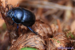 Man soll es kaum glauben, aber auch sowas verspeist Paul ab und zu. 