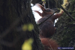 Das ist wieder Verwandtschaft von Paul, denke das ist Onkel Friederich. 