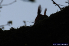 Pauls Cousin, etwas ängstlich der Kleine. 