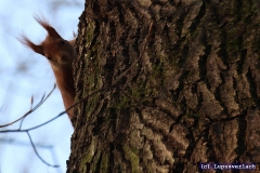 Ja und Onkel Friederich ist da auch nicht anderes. 