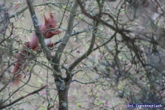 Wie, Frühstück nach der Zahnpflege? 