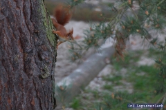 Und Heike wartet auch schon voller Ungeduld.