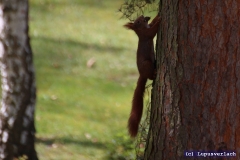 Hier bringt er der Heike das Abendessen.