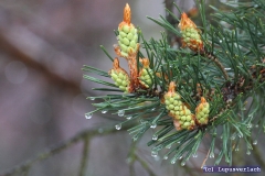 Da freuen sich Heike und Paul, da wächst schon wieder frisches Essen.