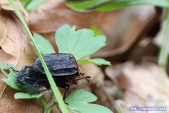 ... und er scheint gut zu kommen.