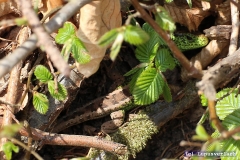 Da versteckt sich gerade der Alex.