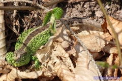 Sein Schwager hat angeblich eine Schuhfabrik.