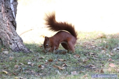 Yoga-Übungen sollte auch ab und zu sein.